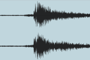 IMG 1 - What Are Transients and Why They Matter