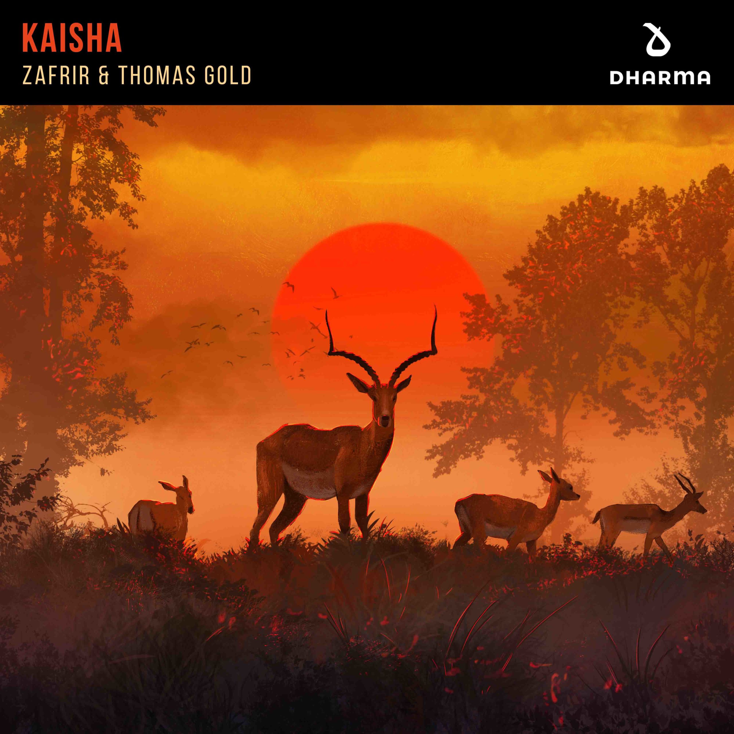 Zafrir & Thomas Gold - Kaisha