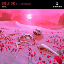 Skeletons (ft. Robbie Rosen) Artwork