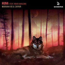 Huna (ft. Ravid Kahalani) Artwork