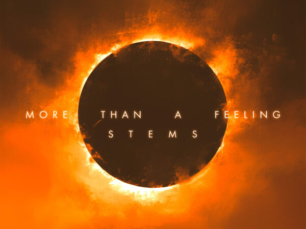 KSHMR - More Than A Feeling Stems