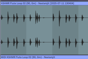 Flute Transients Printed