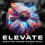 Electro House Samples